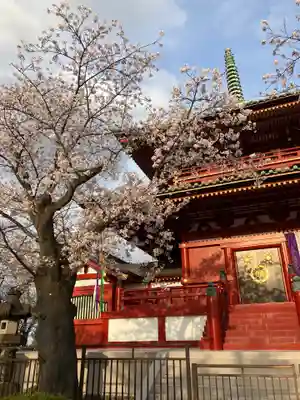 孝道山(神奈川県)