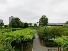 亀戸天神社の庭園