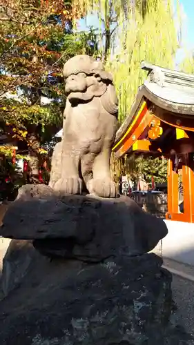 浅草神社の狛犬