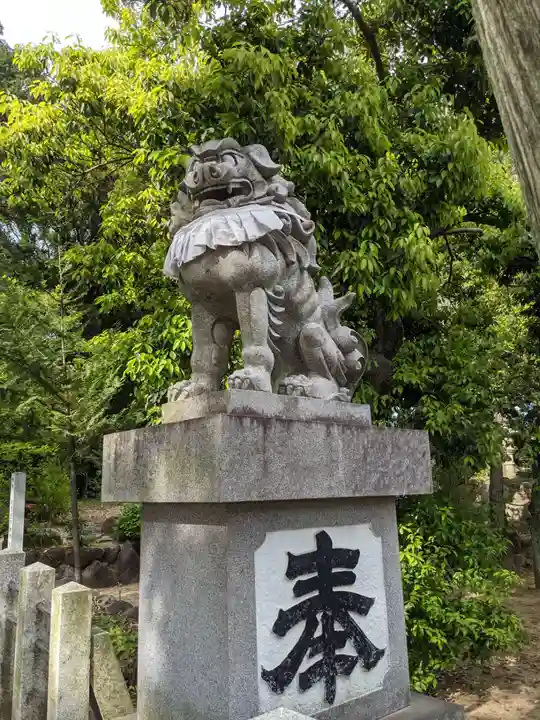 両社宮神社(宮町)の狛犬