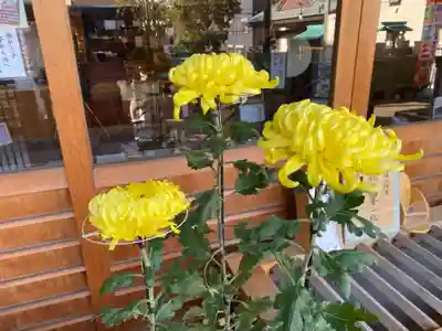 菊名神社(神奈川県)