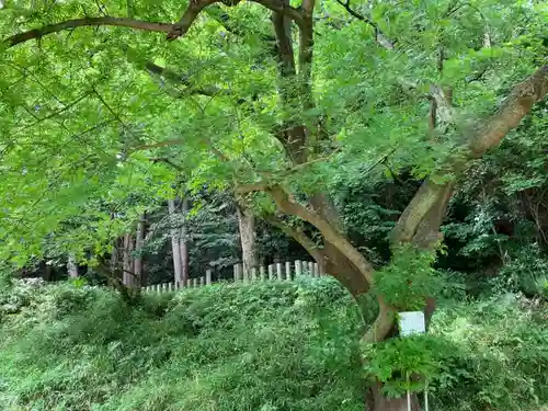 稱名寺(神奈川県)