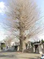 称名寺(埼玉県)