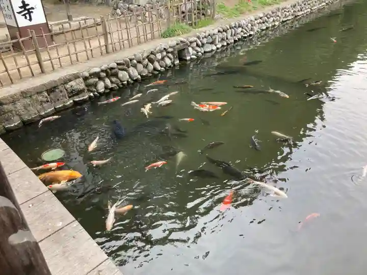 鑁阿寺(栃木県)