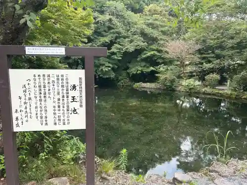 富士山本宮浅間大社(静岡県)