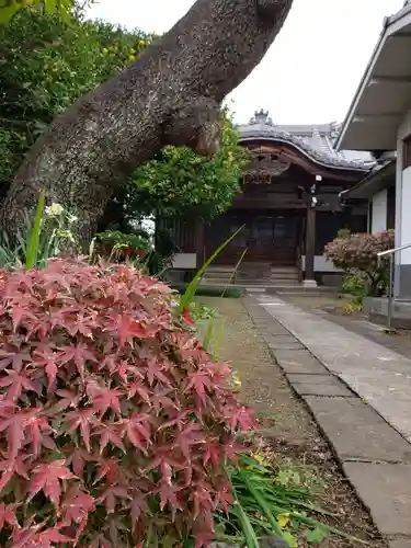 蓮乗院の本殿・本堂