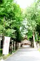 新琴似神社(北海道)