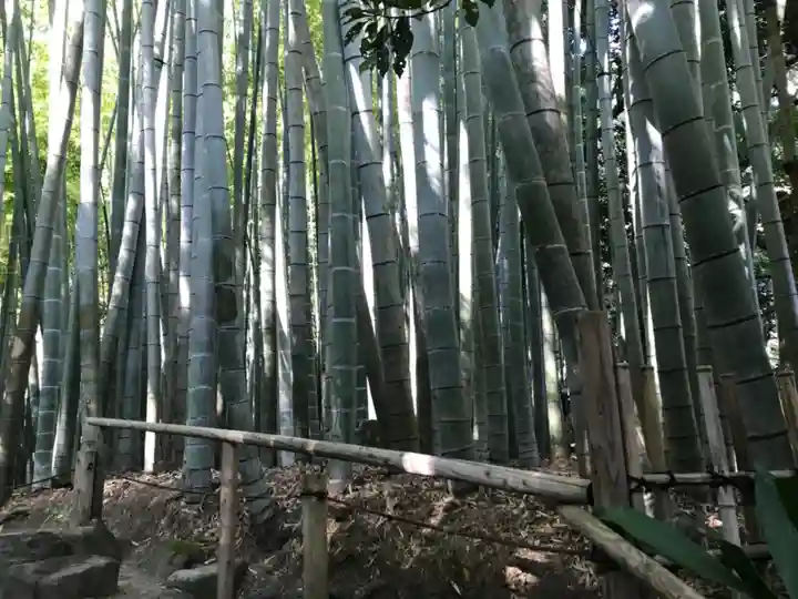 報国寺のその他建物