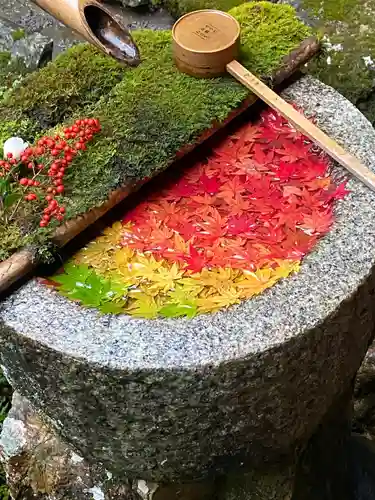 柳谷観音　楊谷寺の手水舎