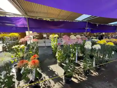 喜多院(埼玉県)