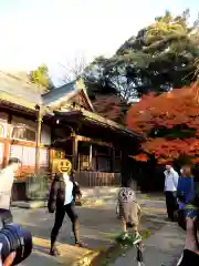 本土寺の動物