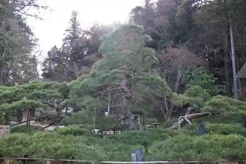 常楽寺の自然