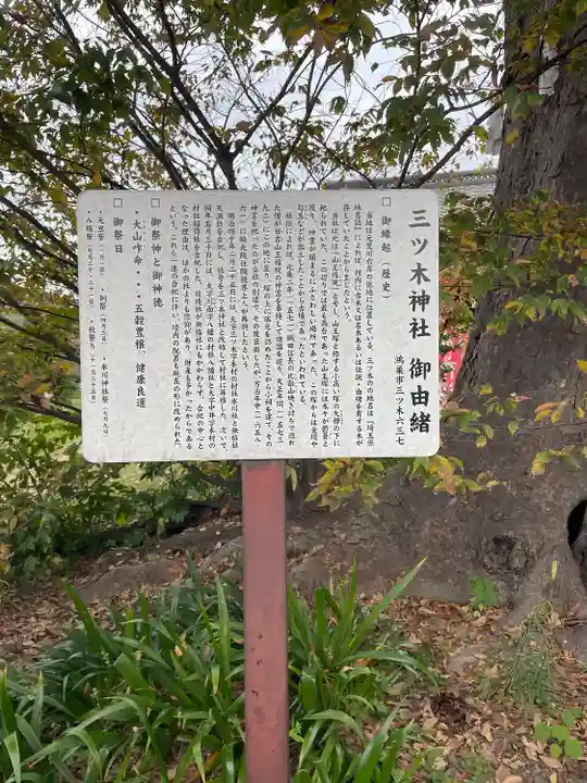 三ツ木神社(埼玉県)