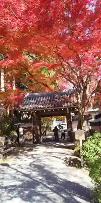 西教寺の山門・神門