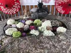 別小江神社の手水