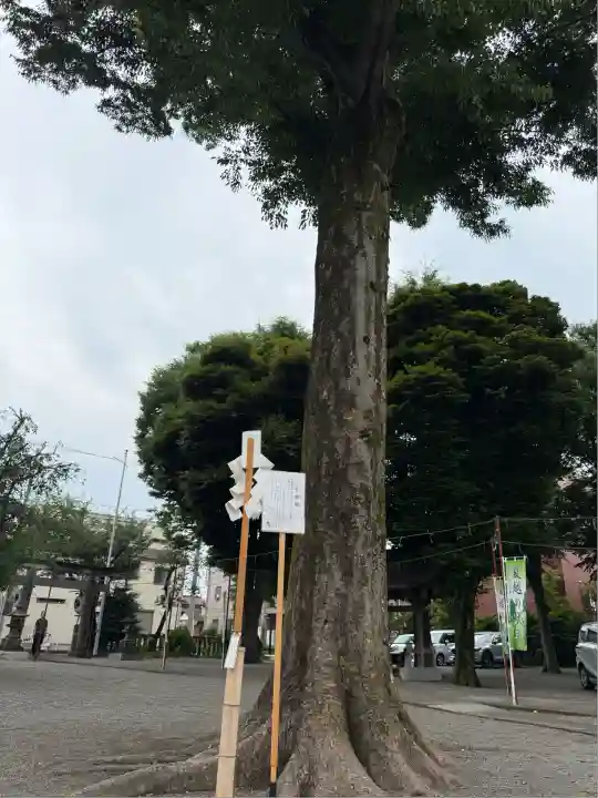 相模原氷川神社(神奈川県)