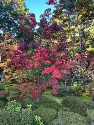 西明寺(滋賀県)