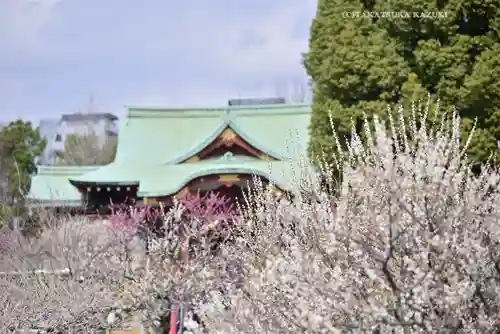 亀戸天神社のその他建物