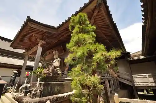 温泉山 安楽寺(四国霊場第六番札所)の建物その他