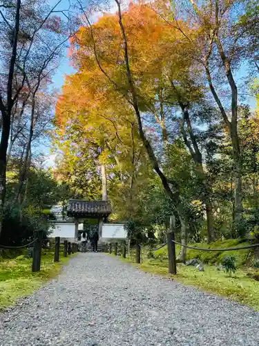 地蔵院(京都府)