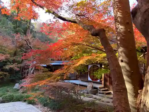 明月院(神奈川県)
