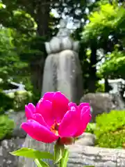 照光寺(長野県)