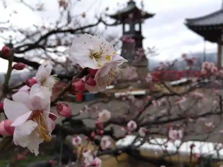 中山寺(兵庫県)