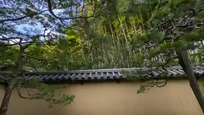 高桐院(京都府)