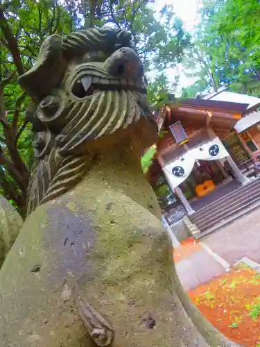 大谷地神社の狛犬