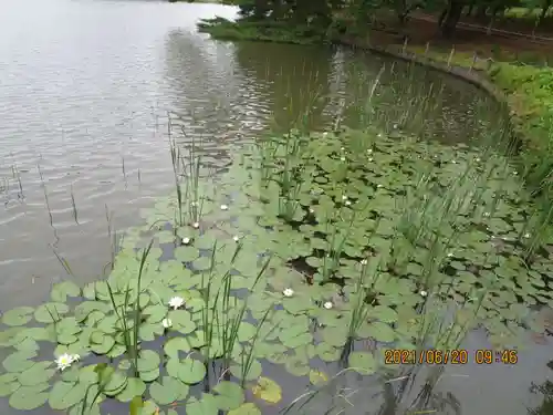 三光稲荷神社の自然
