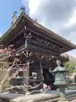 金剛城寺の山門・神門
