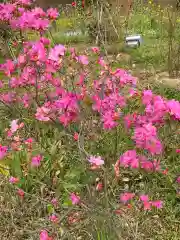 平野神社の庭園