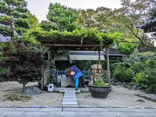 正法寺の手水舎