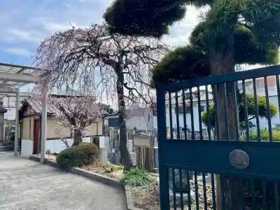法蔵寺(東京都)