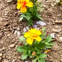 七重浜海津見神社(北海道)