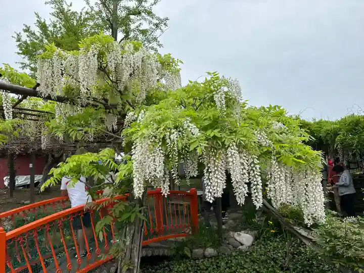 行興寺(静岡県)