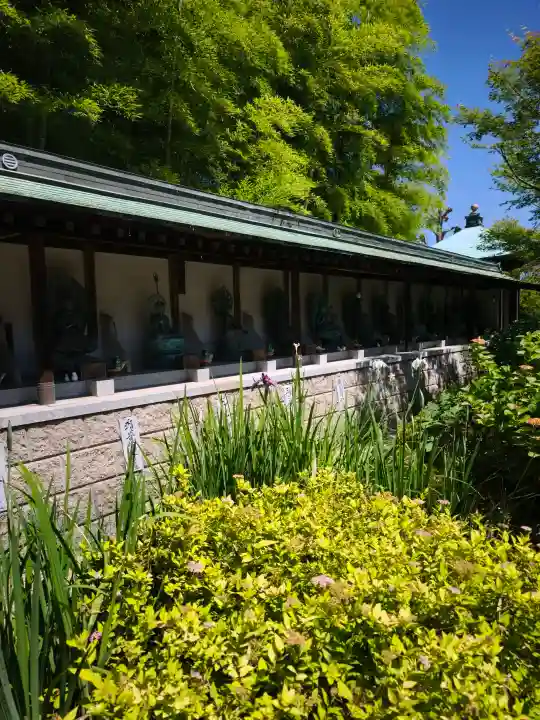 浄明院(愛媛県)