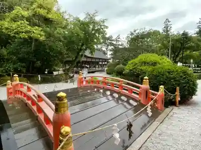 賀茂別雷神社（上賀茂神社）(京都府)