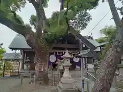 大鳥羽衣濱神社(大阪府)