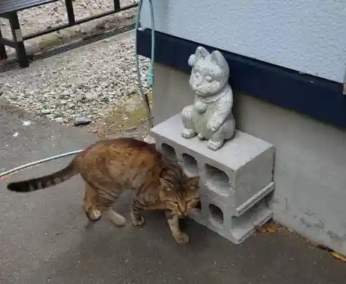 鹿角八坂神社の動物