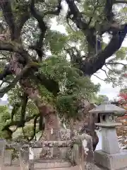 與止日女神社の自然