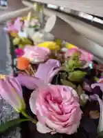 鳩森八幡神社(東京都)