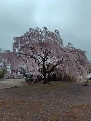 常宣寺(福島県)