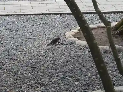 諏訪大社下社春宮(長野県)