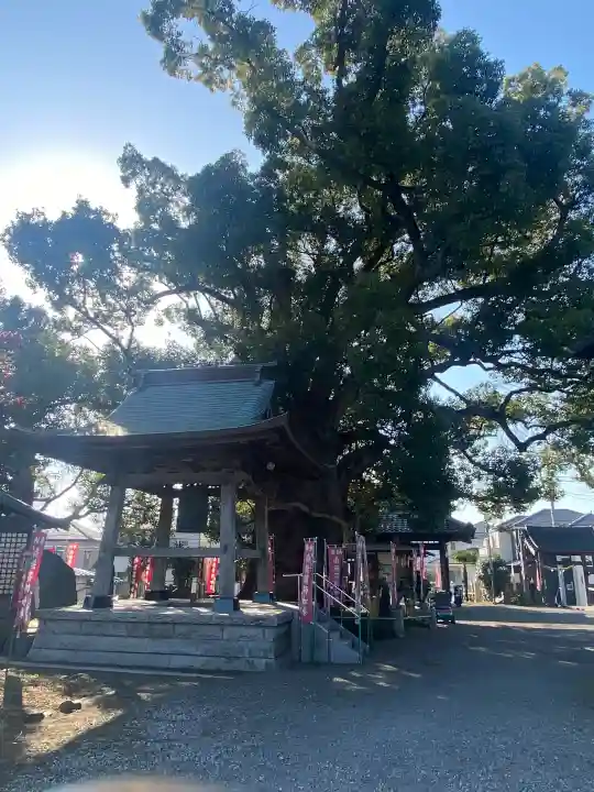 遍照院の{uncategorized: "未分類", other: "その他", undefined: "問題あり", building: "その他建物", grave: "お墓", sacred_gate: "鳥居", guardian: "狛犬", statue: "像", buddha: "仏像", history: "歴史", nature: "自然", garden: "庭園", animal: "動物", pagoda: "塔", temizu: "手水舎", mountain_gate: "山門・神門", sanctuary: "本殿・本堂", subordinate: "末社・摂社", art: "芸術", scenery: "景色", jizo: "地蔵", ema: "絵馬", goshuin: "御朱印", omikuji: "おみくじ", items: "授与品その他", amulet: "お守り", goshuincho: "御朱印帳", eats: "食事", festival: "お祭り", votive_dance: "神楽", shichigosan: "七五三参", wedding: "結婚式", experience: "体験その他", initially: "初詣", around: "周辺", anti_infection: "感染症対策"}