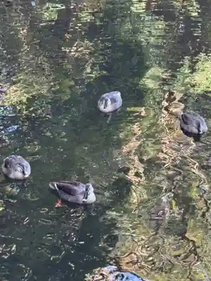 宮崎神宮(宮崎県)