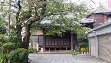 大信寺の本殿・本堂