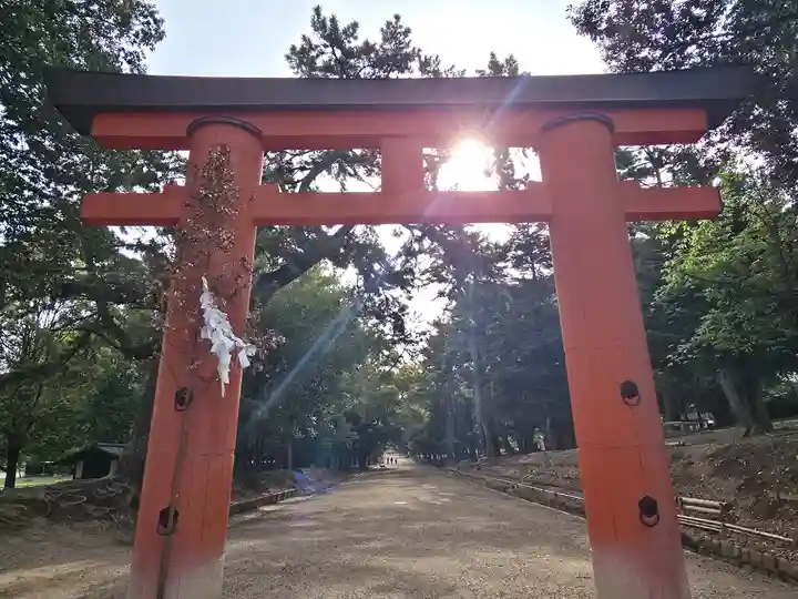 春日大社(奈良県)
