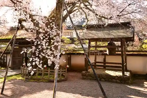 清浄心院(和歌山県)