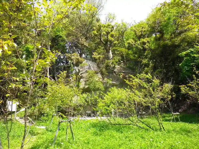 浄光明寺の自然